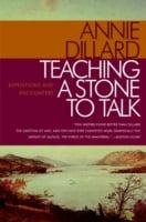 Teaching a Stone to Talk