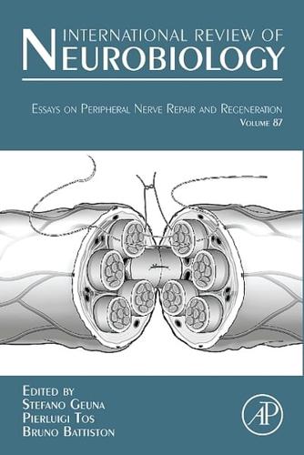 Essays on Peripheral Nerve Repair and Regeneration