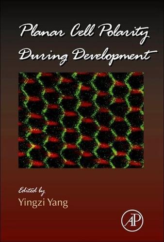 Planar Cell Polarity During Development