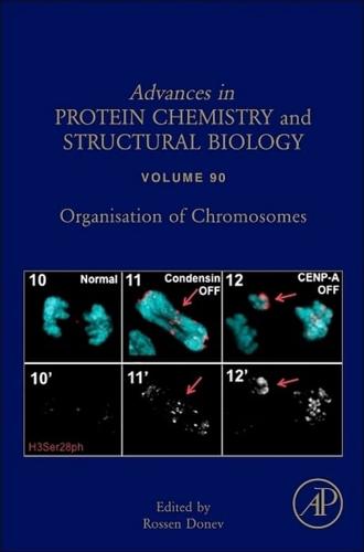 Organisation of Chromosomes