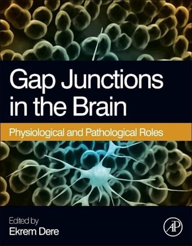 Gap Junctions in the Brain