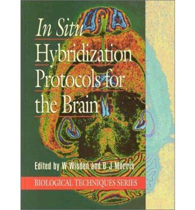 In Situ Hybridization Protocols for the Brain