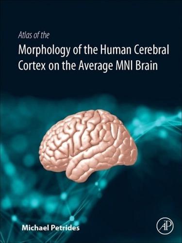 Cytoarchitectonic Atlas of the Human Cerebral Cortex