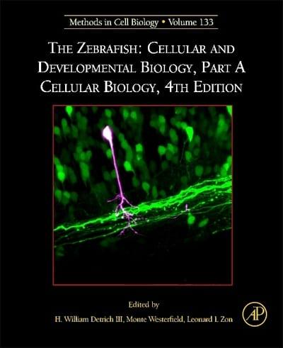 Zebrafish: Cellular and Developmental Biology, Part a Cellular Biology