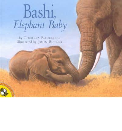 Bashi, Elephant Baby