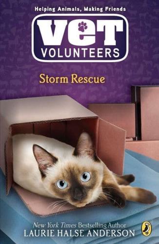 Storm Rescue