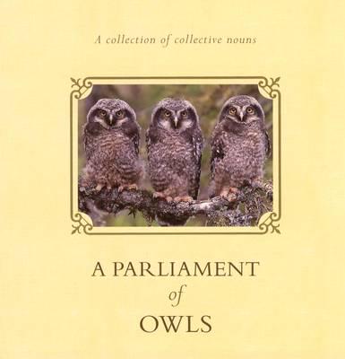 A Parliament of Owls