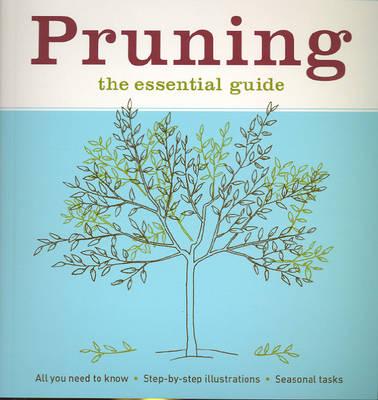 Pruning