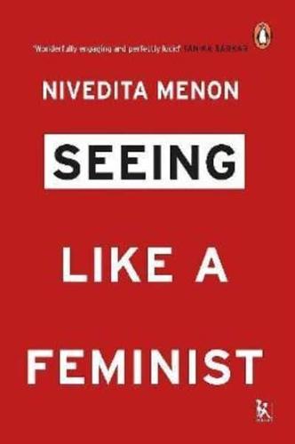 Seeing Like a Feminist