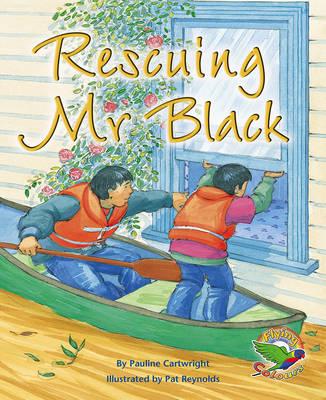 Rescuing Mr Black