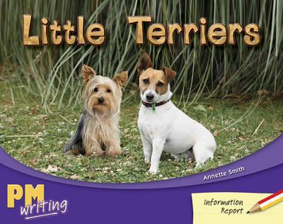 Little Terriers
