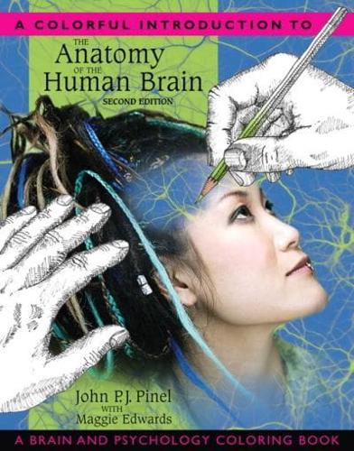 A Colourful Introduction to the Anatomy of the Human Brain