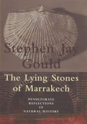 The Lying Stones of Marrakech