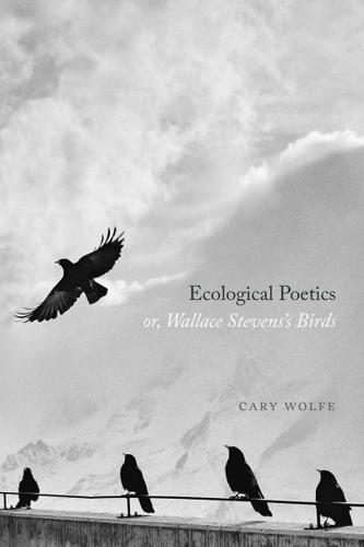 Ecological Poetics, or, Wallace Stevens's Birds
