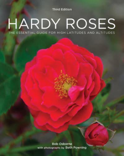 Hardy Roses