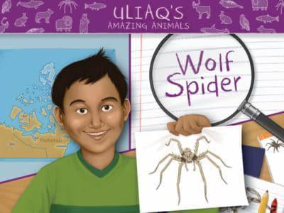 Uliaq's Amazing Animals: Wolf Spider