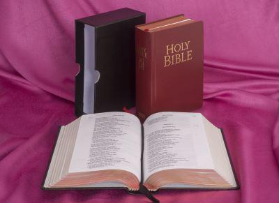 NJB Pocket Edition Red Leather Bible