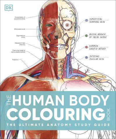 The Human Body Colouring Book