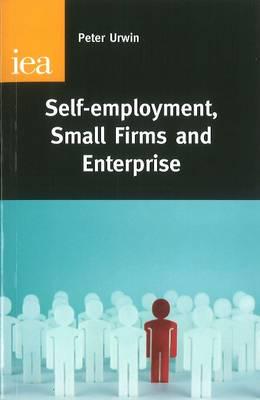 Self-Employment, Small Firms and Enterprise