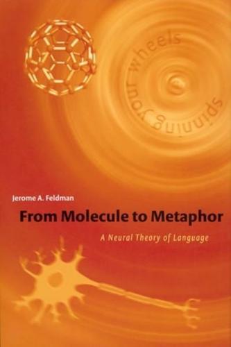 From Molecule to Metaphor