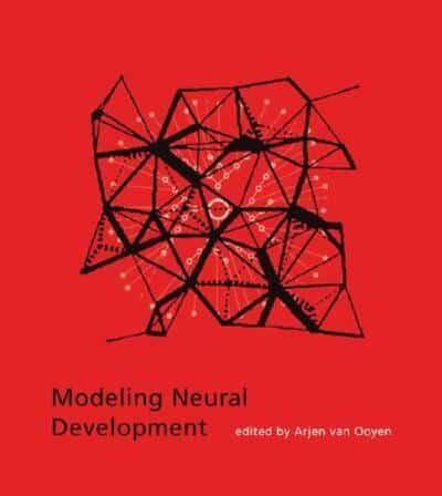 Modeling Neural Development