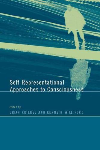 Self-Representational Approaches to Consciousness