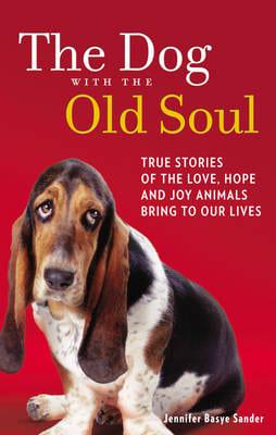 The Dog With the Old Soul