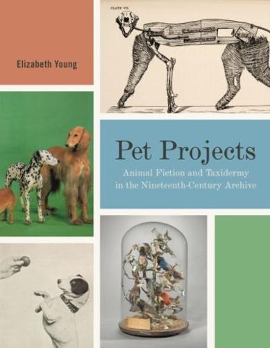 Pet Projects