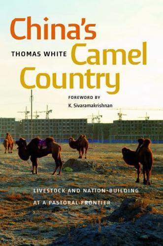China's Camel Country China's Camel Country
