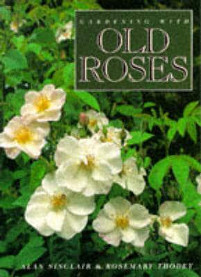 Gardening With Old Roses