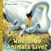 Where Do Animals Live?