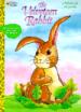 Velveteen Rabbit Storybook to Color Sc