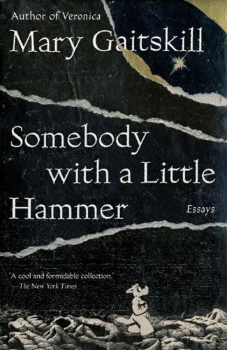 Somebody With a Little Hammer