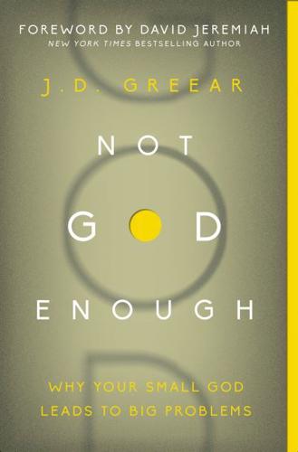 Not God Enough   Softcover