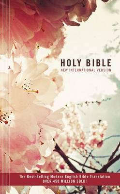 Holy Bible-NIV