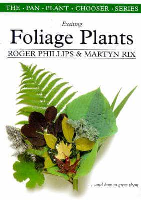 Exciting Foliage Plants