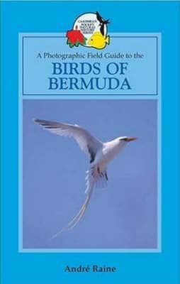 Birds of Bermuda