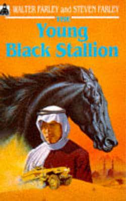 The Young Black Stallion