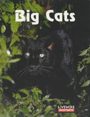 Livewire Investigates Big Cats