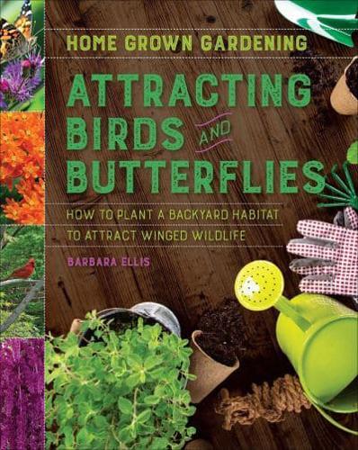 Attracting Birds and Butterflies