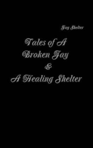 Tales of A Broken Jay & A Healing Shelter
