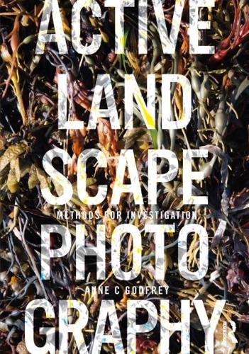 Active Landscape Photography. Methods for Investigation