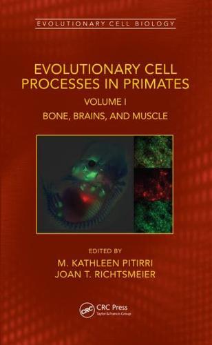 Evolutionary Cell Processes in Primates: Bone, Brains, and Muscle, Volume I
