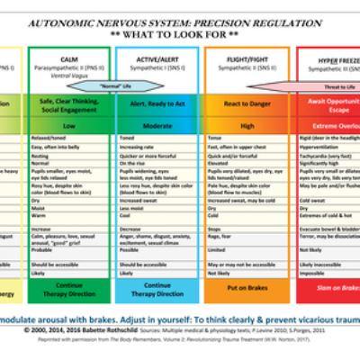 Autonomic Nervous System Table: Laminated Card