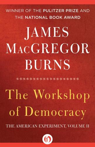The Workshop of Democracy