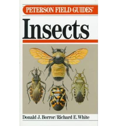 Field Guide to the Insects of America North of Mexico