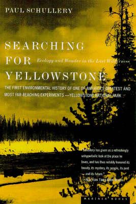 Searching for Yellowstone