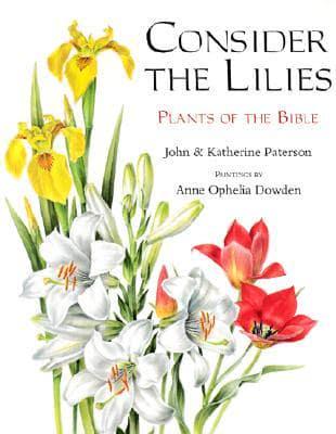 Consider the Lilies