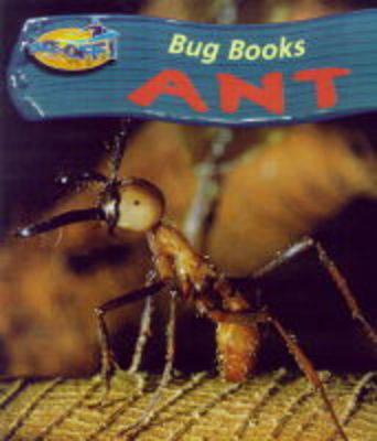 Ant