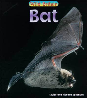 Bat